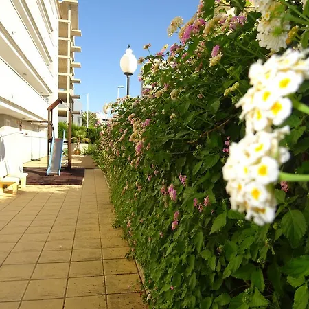 Puerto Principe Apartment Guardamar del Segura